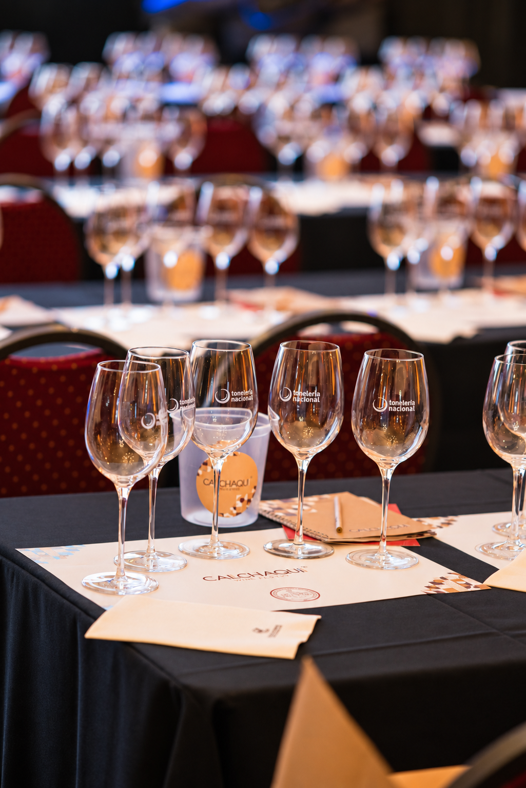 Copas y kit de cata dispuestos para Calchaquí Wine Tasting